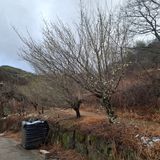 팜모닝 자유주제·자유게시판 게시글 이미지