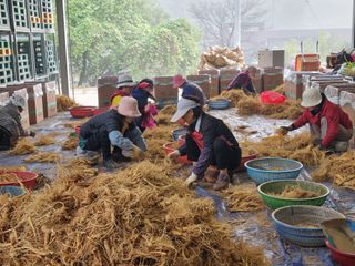 모두팜님의 작성글 사진