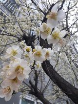 팜모닝 자유주제·자유게시판 게시글 이미지