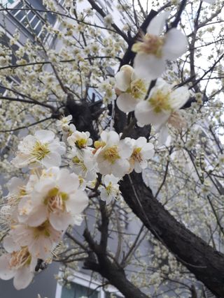 주흘산인님의 자유주제 · 자유게시판 작성글 사진