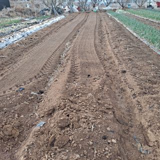 나누고싶어서님의 자유주제 · 자유게시판 작성글 사진