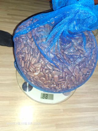 자작나무님의 자유주제 · 자유게시판 작성글 사진