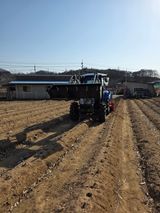 팜모닝 자유주제·자유게시판 게시글 이미지