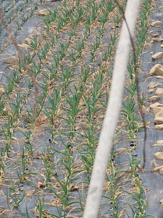 청산거사님의 자유주제 · 사진전 작성글 사진