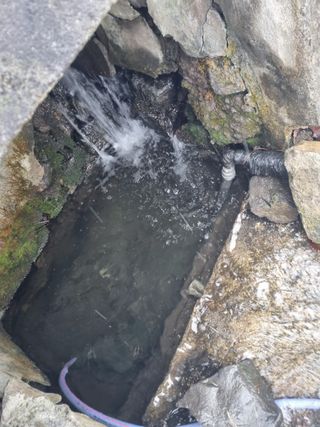 김용대님의 자유주제 · 자유게시판 작성글 사진