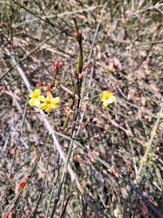 MSG0074님의 자유주제 · 자유게시판 작성글 사진