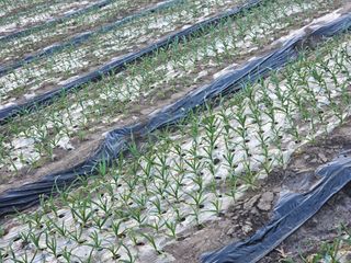 백용기님의 자유주제 · 자유게시판 작성글 사진