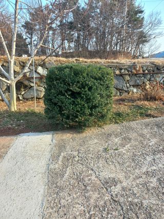 심무재 님의 자유주제 · 자유게시판 작성글 사진