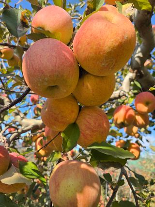 최동구님의 작성글 사진