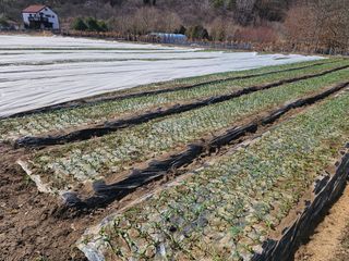 백용기님의 자유주제 · 자유게시판 작성글 사진