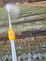 팜모닝 자유주제·자유게시판 게시글 이미지