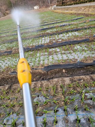 백용기님의 자유주제 · 자유게시판 작성글 사진