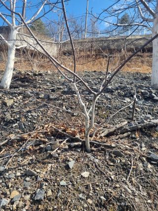 김용대님의 자유주제 · 자유게시판 작성글 사진