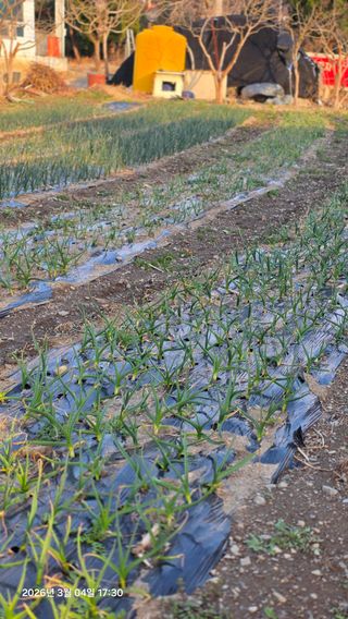 박용열조물주님 님의 자유주제 · 자유게시판 작성글 사진