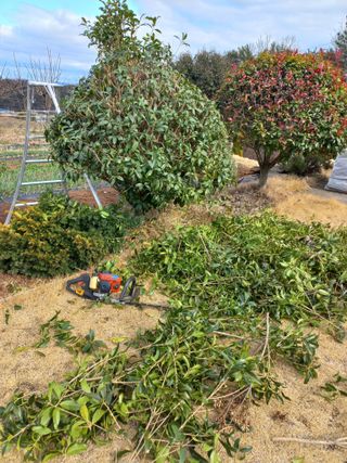 심무재 님의 자유주제 · 자유게시판 작성글 사진