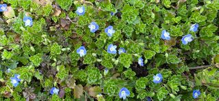 달맛햇복숭아농원님의 자유주제 · 자유게시판 작성글 사진