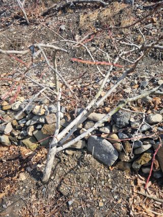 김용대님의 자유주제 · 자유게시판 작성글 사진