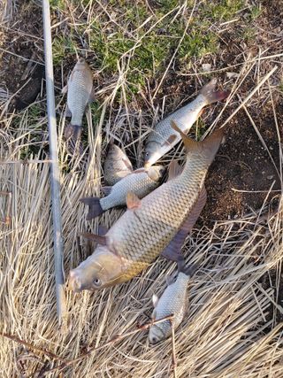 별빛농장지기님의 자유주제 · 자유게시판 작성글 사진