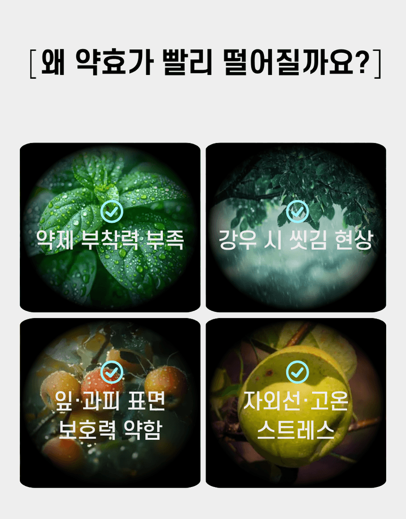 농업마켓365님의 장터 판매 상품 [가디언 액제 10L 기능성 고착제 전착제 침투확산제 약효지속 강화] 첨부 사진