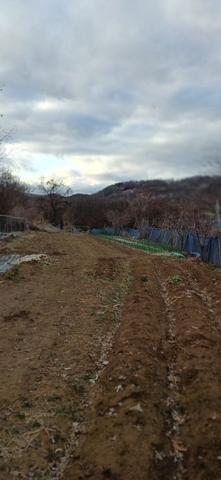 초보퍼머5도2촌준비님의 자유주제 · 자유게시판 작성글 사진