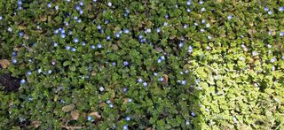 달맛햇복숭아농원님의 자유주제 · 자유게시판 작성글 사진