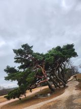 팜모닝 · 게시글 이미지