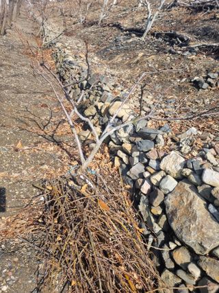 김용대님의 자유주제 · 자유게시판 작성글 사진