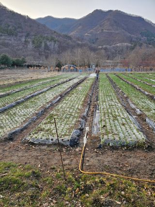 백용기님의 자유주제 · 자유게시판 작성글 사진