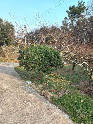 심무재 님의 자유주제 · 자유게시판 작성글 사진