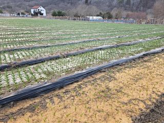 백용기님의 자유주제 · 자유게시판 작성글 사진