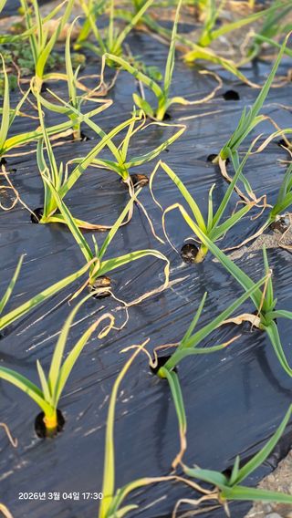 박용열조물주님 님의 자유주제 · 자유게시판 작성글 사진