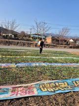 팜모닝 자유주제·자유게시판 게시글 이미지