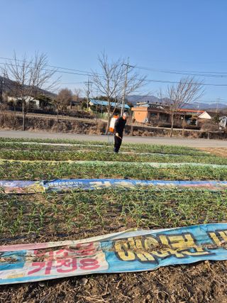 마늘16716님의 자유주제 · 자유게시판 작성글 사진