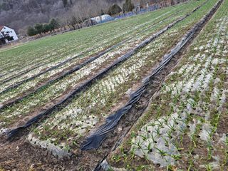 백용기님의 자유주제 · 자유게시판 작성글 사진