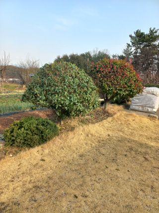 심무재 님의 자유주제 · 자유게시판 작성글 사진