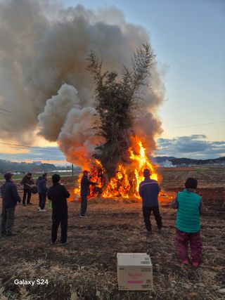 사천시향촌동 돼지띠님의 자유주제 · 자유게시판 작성글 사진