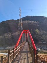 팜모닝 자유주제·자유게시판 게시글 이미지