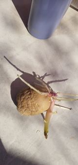 팜모닝 자유주제·자유게시판 게시글 이미지