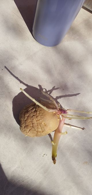 박성숙님의 자유주제 · 자유게시판 작성글 사진