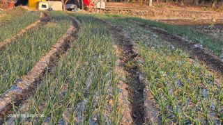 박용열조물주님 님의 자유주제 · 자유게시판 작성글 사진