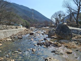 MSG0074님의 자유주제 · 자유게시판 작성글 사진