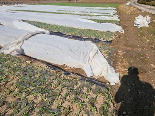 백용기님의 자유주제 · 자유게시판 작성글 사진