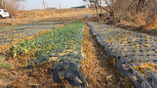 상록수대박님의 자유주제 · 자유게시판 작성글 사진