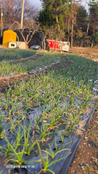 박용열조물주님 님의 자유주제 · 자유게시판 작성글 사진