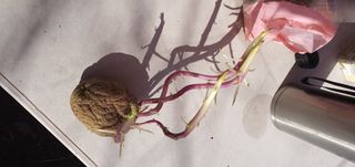 박성숙님의 자유주제 · 자유게시판 작성글 사진