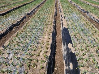 백용기님의 자유주제 · 자유게시판 작성글 사진