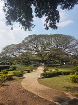 팜모닝 자유주제·자유게시판 게시글 이미지