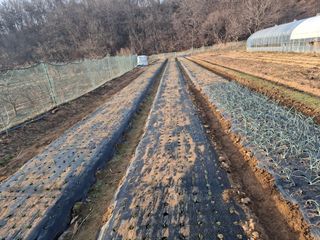 초보굴백이님의 자유주제 · 자유게시판 작성글 사진