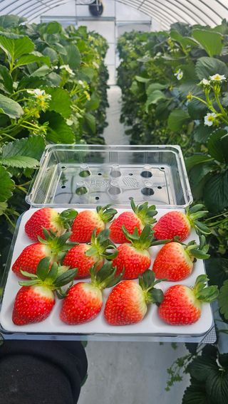 정종배님의 자유주제 · 자유게시판 작성글 사진