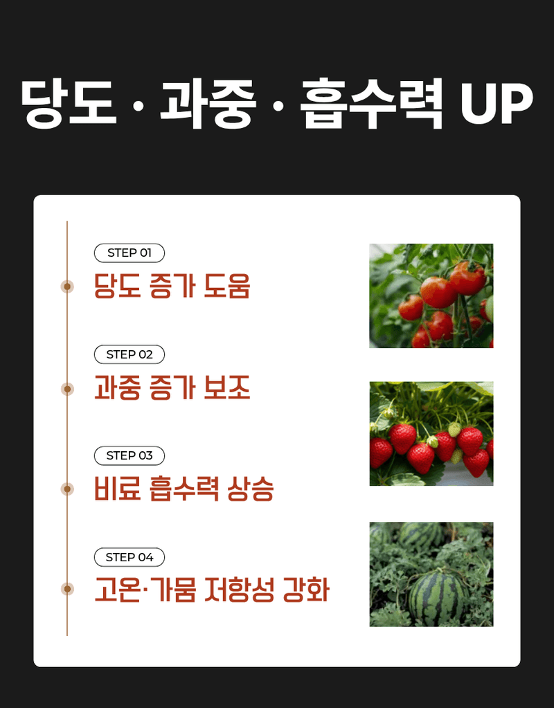 농업마켓365님의 장터 판매 상품 [아미노25 10L 고함량 L-아미노산 25% 프리미엄 생육부스터 식물영양제] 첨부 사진